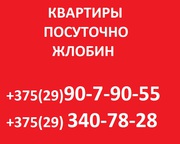 квартиры посуточно в Жлобине